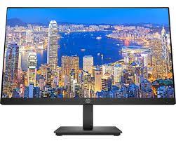 HP P224 21.5